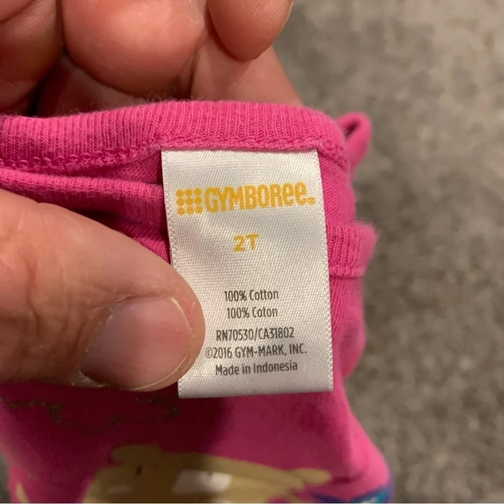 Gymboree size 2t